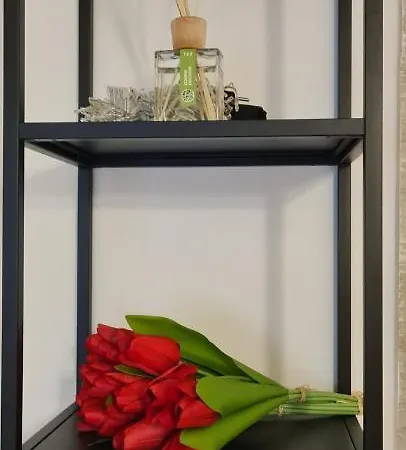 Apartment Di Paola Via Crisanzio Bari