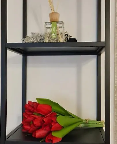 Apartamento Di Paola Via Crisanzio Bari